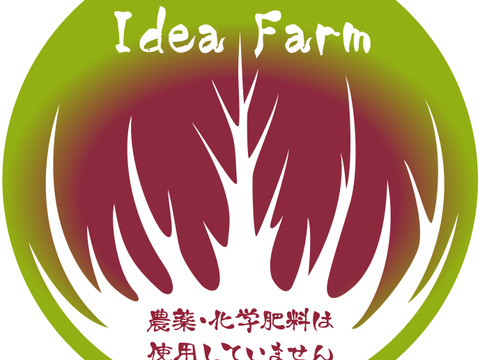【数量限定】IdeaFarmのラディッシュ 1kg（紅白セミロングタイプ）