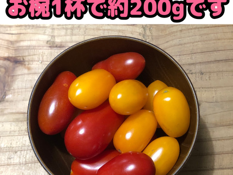 【農薬・化学肥料不使用栽培】イタリアンセット（フラガールトマト:500g＆にんにく:200g＆バジル:15g