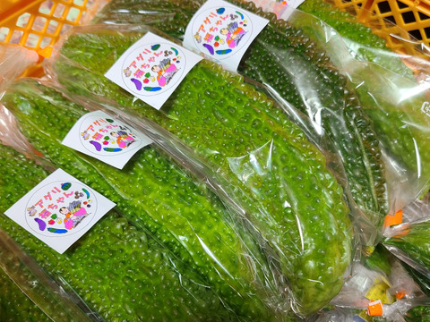 朝採り！わけあり！ゴーヤ「えらぶ」2㎏(5〜10本)
