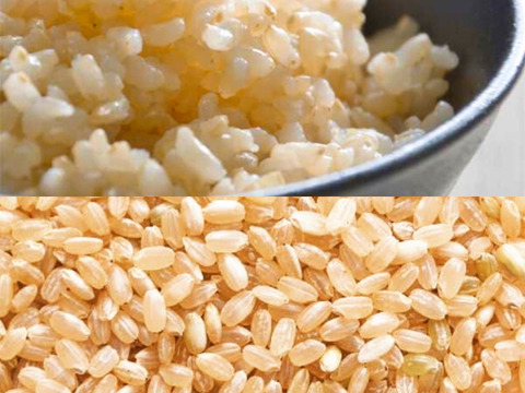 【新米玄米】5㎏！食べ比べセット！もっちりコシヒカリ&あっさりこしいぶき【令和5年産】
