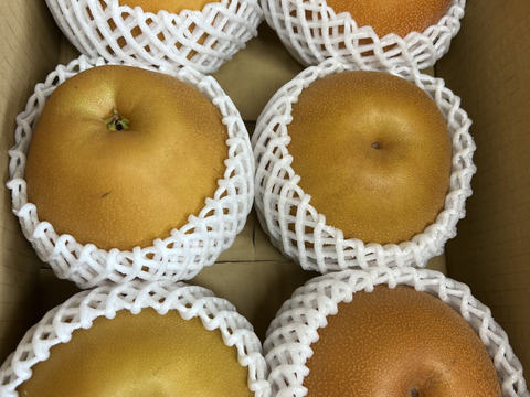 梨 3キロ 6個から11個入り 甘さあふれる旬 梨 南水 梨 秋感じる一品 冷蔵 フルーツ 果実 家庭 新高 豊水 秋泉 敬老の日 プレゼント 誕生日 お取り寄せグルメ おすすめフルーツ 和梨 訳あり