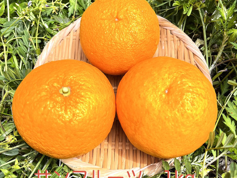 [自然栽培]サンフルーツ(1kg)栽培期間中農薬不使用、肥料不使用
