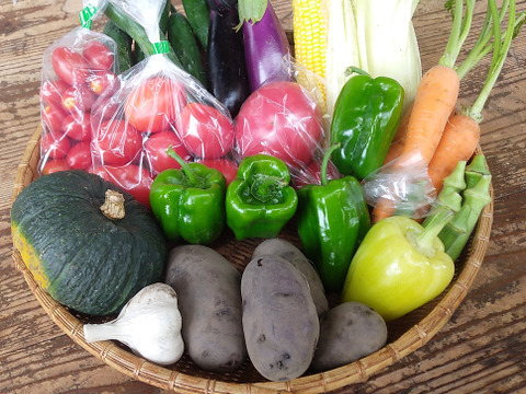 八ヶ岳高原から直送!旬の野菜セット8品目以上　100サイズ　トマトピューレ１瓶