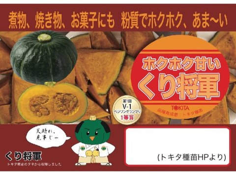 極粉質栗かぼちゃ2個約3.5kg 農薬・化学肥料不使用 くり将軍