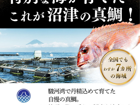 【父の日ギフト】【食べ比べ】鯛さしみ3種セット（さしみ130g、昆布締め60g×2、スモーク60g×2）