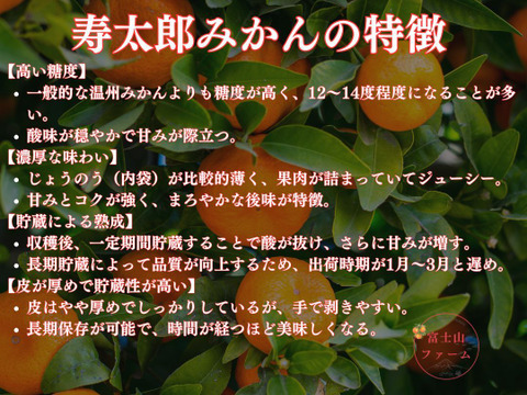 太陽と潮風が育てた、甘みあふれる！西浦みかん 【寿太郎3キロ箱込】訳ありみかん 寿太郎みかん 静岡県産 【3月上旬までの季節限定品！】