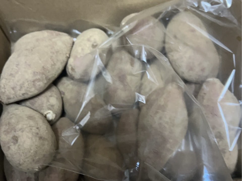 発送中🍠もはやスイーツ！ねっとり甘い安納芋Mサイズ２KG 焼き芋にピッタリ！五島の海水を使って育てました！農薬/化学肥料不使用 サツマイモ/さつまいも