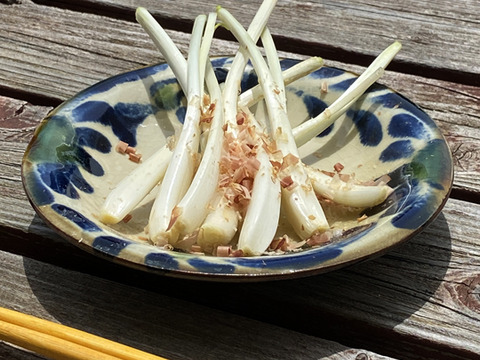 【沖縄といえばコレ！】はじめての人におすすめお試し島らっきょう400g【初回限定　沖縄の塩付き】