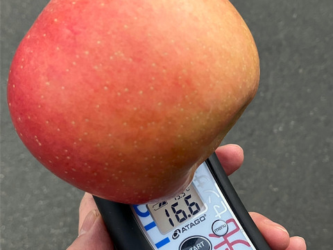 濃厚な甘みのりんご 「こうとく」（B品2㎏）