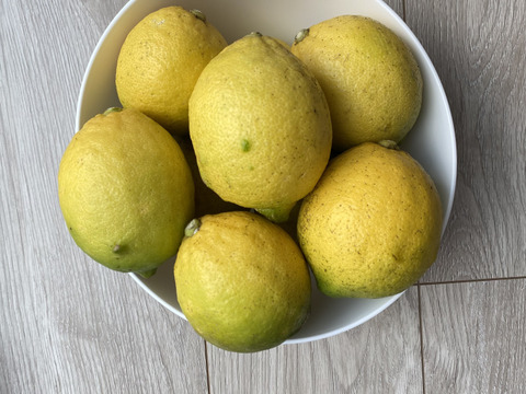 愛媛県産　瀬戸内　栽培期間中農薬不使用　国産　レモン　2kg（箱込み）