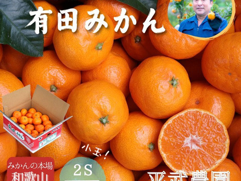 【冬ギフト】農家直送！有田みかん3kg≪2Sサイズ（小玉）秀品≫【平武農園】～蛍飛ぶ町から旬の便り～　和歌山｜有田｜田口｜ギフト｜こだわり　産地直送　お取り寄せ