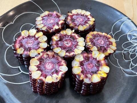 【6月中旬発送】赤いとうもろこし大和ルージュ 2Lサイズ10本入