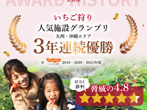 久留米生まれ！【恋みのり】サイズ色々 270g×4パック