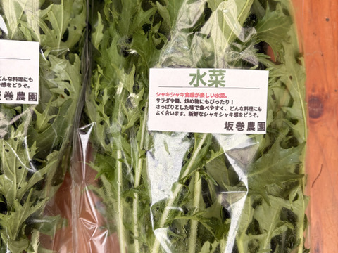 旬の野菜セット！ 大和ルージュ　2本入り
80サイズの箱に7種から10種類程度のお野菜詰め合わせ
