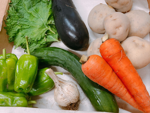 旬の路地野菜(味の濃いのが特長です)コンパクトセット
ジャガイモ男爵、ニンニク、ニンジン、キュウリ、ナス、ピーマン、大葉【農薬不使用】 除草剤、防虫剤、殺虫剤等使用していません。