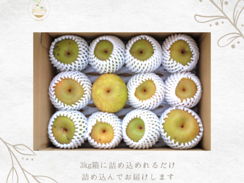 【幸水3kg箱いっぱい】【家づかい用】甘さダントツ一番！太陽の恵みいっぱい！庄内甘熟梨