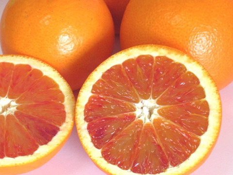 【広島県産】ブラッドオレンジAB混合品(5㎏) タロッコ