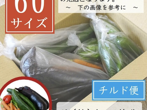 新鮮さが断然違う！旬の夏野菜セット6品
