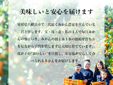 【食べチョクで１番売れてるみかんです！】贈答用の夕やけみかん【極】３ｋｇ（圧倒的人気のみかんです！）