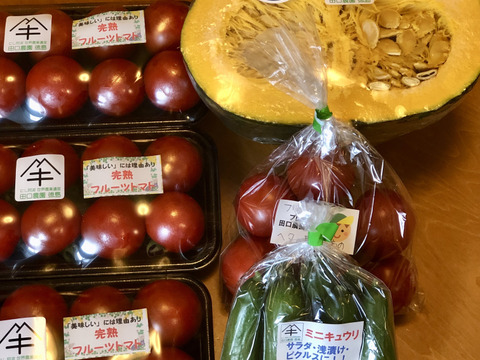 田口農園徳島「イチオシ旬野菜セット」
【たっぷりいろいろ　２０００円セット】農家人が選ぶ旬野菜のおまかせセットです。季節ごとの旬の世界農業遺産ブランド野菜を厳選してお届け致します。