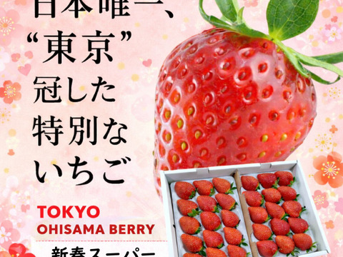 【新春セール当店通常価格の25％OFF】「東京おひさまベリー」(9～30粒入り、約300g)×２パック 東京生まれのニューブランド ギフト 果物 プレゼント 贈り物 お礼品 御礼品 誕生日
