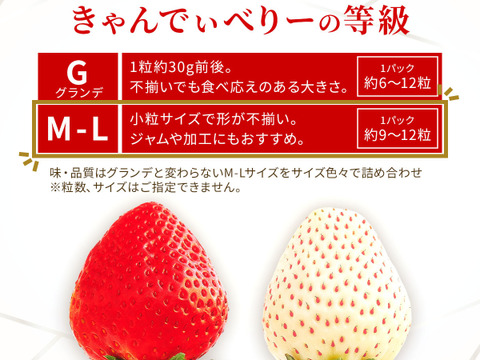 いちご うるベリー220g×2パック【冬ギフト】