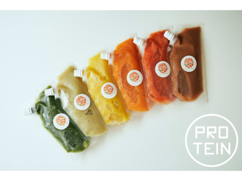 【夏ギフト】＼植物性タンパク質20g配合バージョン・パパイア酵素スムージー／異なる6種の味セット - 12本お届け -