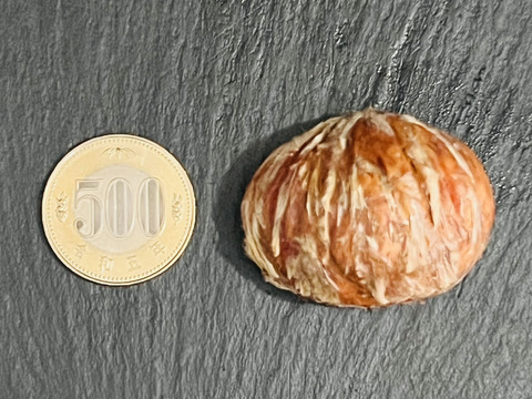 ひなた　２Ｌサイズ　20キロ　農薬不使用生栗 農薬不使用生栗 2kg】日本のひなた宮崎から宝珠の栗をお届け