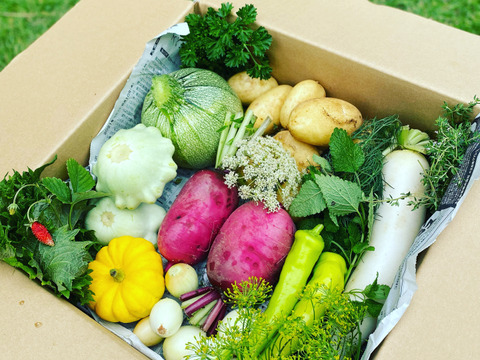 まぁぁぁぁぁ！！！！っと驚く野菜BOX