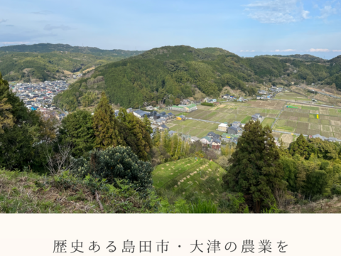 するがみっくす