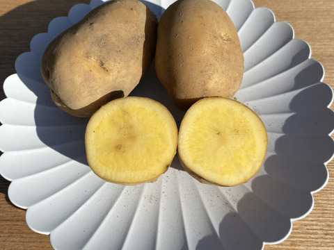 鹿児島県産じゃがいも食べ比べセット　デジマ600gシャドークイーン500gインカのめざめ500g