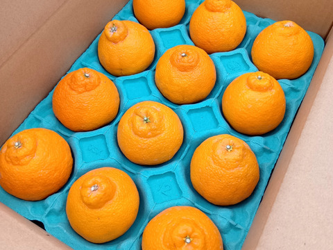 デコがポイント！不知火【小玉サイズ 家庭用 2.1～2.2kg】