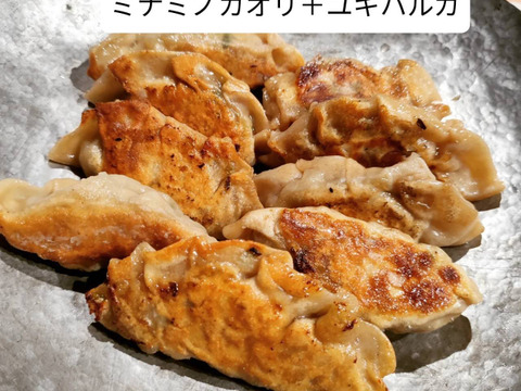 自然栽培 古代小麦『スペルト小麦』精白粉 （800g）