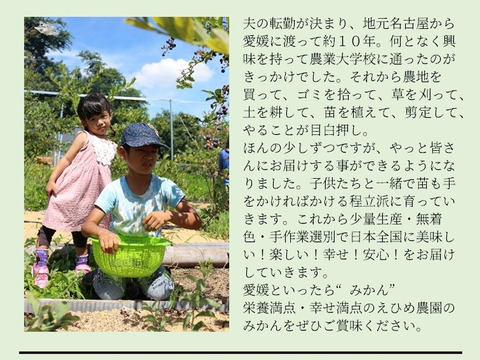 【訳あり】愛媛県産　高級希少品種　甘平　サイズ不揃い　３キロ　家庭用