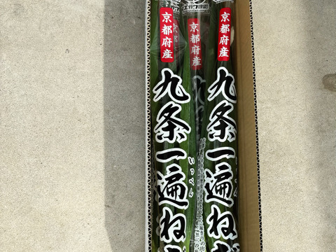 高級九条ねぎ「九条一遍ねぎ」(500g)