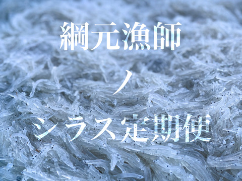 綱元漁師のシラス定期便