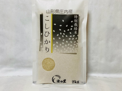 山形県産特別栽培米コシヒカリ（白米）２ｋｇ
