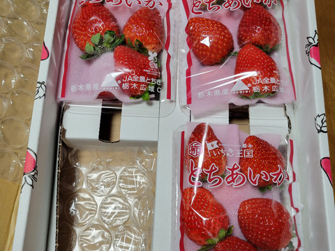 (4P)約1kg【いちご・とちあいか】実がしっかりして酸味が少なく甘さが際立つ新品種★「とちあいか」(４パックx260g) 栃木県産いちご●一番人気いちごセット●お届け日指定可