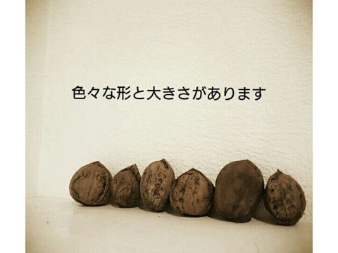 【ししゃも様専用】新潟県妙高市産 鬼くるみ 5kg