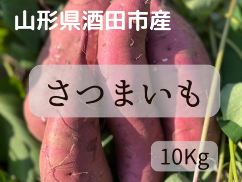 【ねっとり】【熟成】山形県酒田市産　さつまいも10Kg【お買い得】【紅はるか】