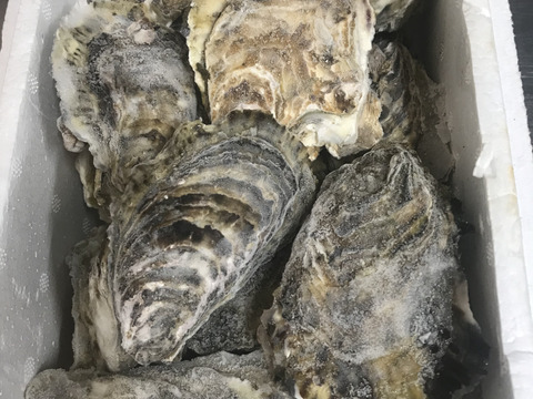 【冷凍かき】【お買い得品】
三重県産 加熱用 殻付き 浦村かき 30個入り（約3kg前後）（3～6人前）
真牡蠣  牡蠣 カキ 貝類 海鮮 BBQ カキパーティ バーベキュー 母の日ギフト