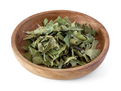 自然のかおり豊かな《月桂樹茶》１ｇｘ５ｐ