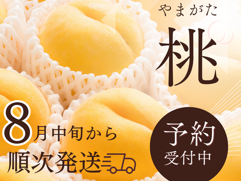 【 🍑早期予約🍑 】【 30箱限定 】【 🍑黄金桃•家庭用🍑 】山形県天童産 桃 3.0k 【 果肉ジューシー 】お米とご一緒に！