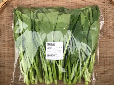 油菜芯 1kg／栄養価の高い、中国の定番野菜！