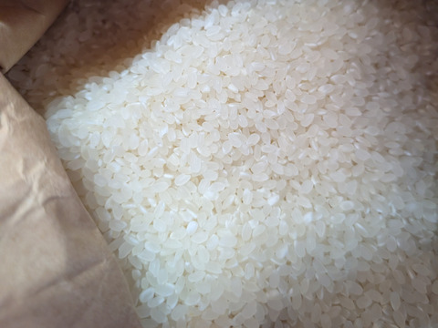 【令和7年新米】ヒラヤマファームの米（10kg）