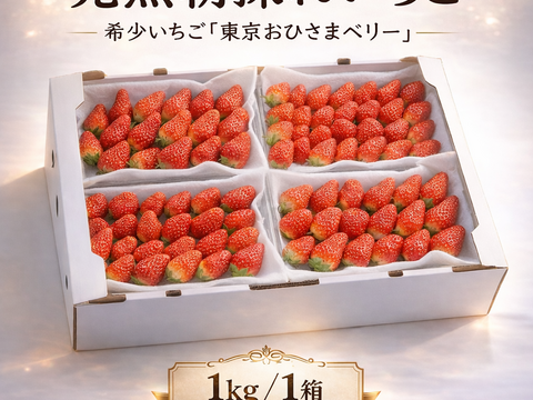 完熟朝採りいちご「東京おひさまベリー」(約１kg／１箱あたり) 東京生まれのニューブランド イチゴ 苺 ギフト スイーツ 果物 プレゼント 贈り物 お礼品 誕生日 祝い事／バレンタインデー、合格祝