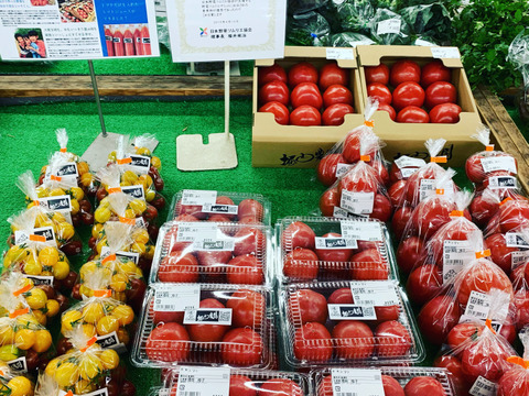 【祝‼︎初出品セール‼︎】昔なつかしい！夏休みおじいちゃん家で食べたあのもぎたてトマト（大玉トマト）４キロ箱