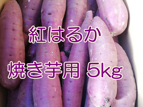 【焼き芋用】 里山ファームの紅はるか ５ｋｇ Sサイズ Mサイズ