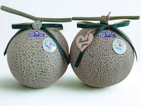 【令和5年 品質優良賞受賞】生産量日本一！茨城県産 アールスメロン【特秀】2玉