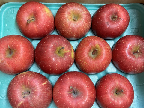 りんご サンふじ 5kg 16個〜20個入り リンゴ  秋田 雪 甘い  りんご   フルーツ お取り寄せ お取り寄せグルメ アップル  おやつ デザート 母の日 甘いりんご